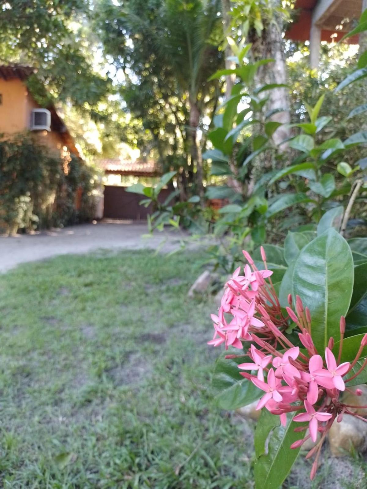 Oxe Uai Hostel
